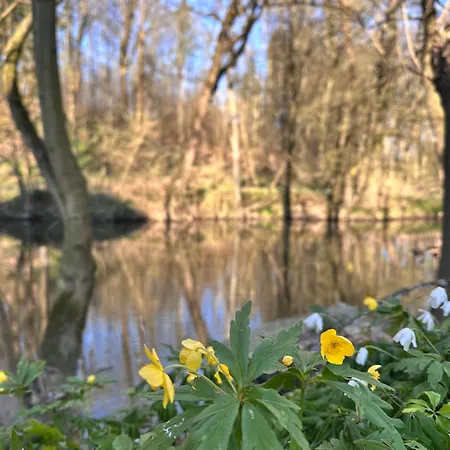 Mitkov Brandys nad Orlici