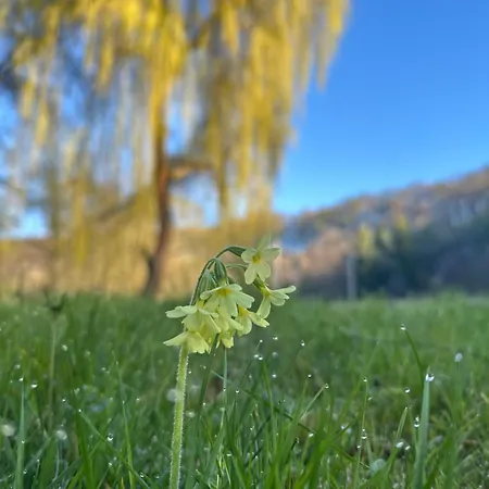 Mitkov 3* Brandys nad Orlici